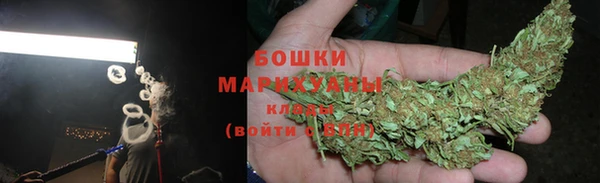 PSILOCYBIN Баксан