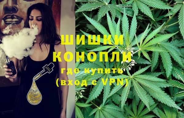 PSILOCYBIN Баксан