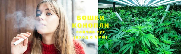 PSILOCYBIN Баксан